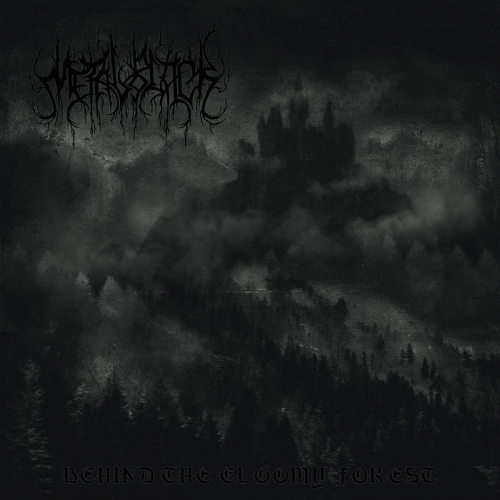 Behind the Gloomy Forest